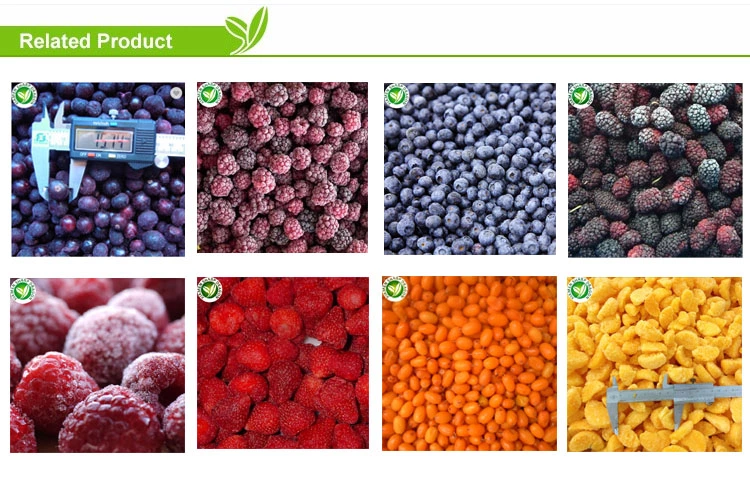 frozen Kiwi ice cream frozen Kiwi ice cream