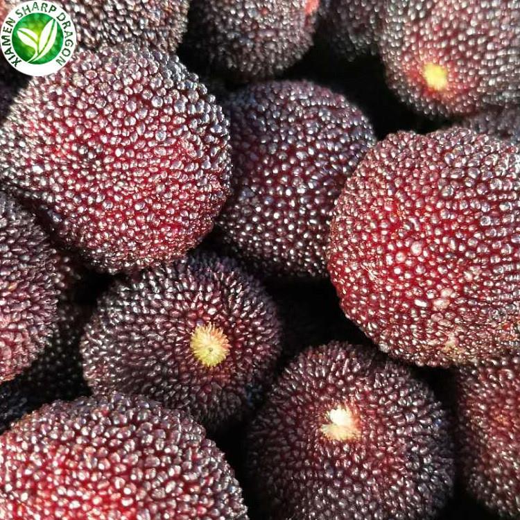 cheap best bayberry on sale