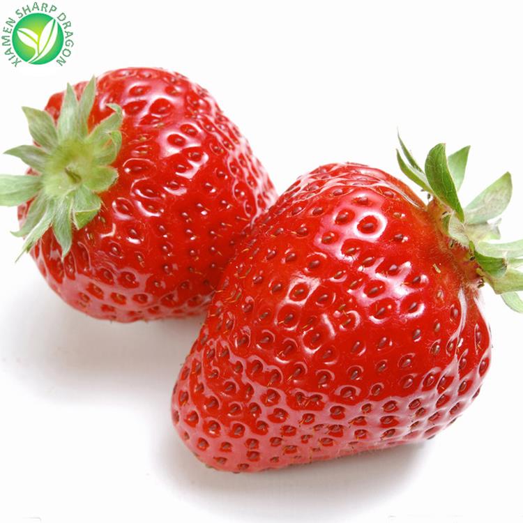 strawberry wholesale price