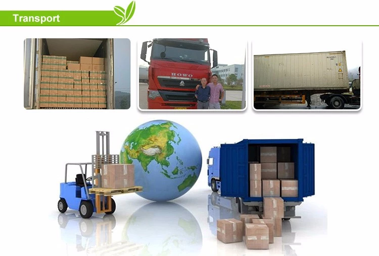 Organic frozen kiwi berries Organic frozen kiwi berries