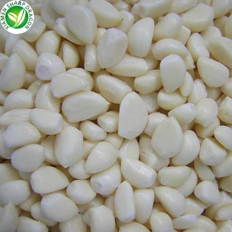 garlic export wholesale 
