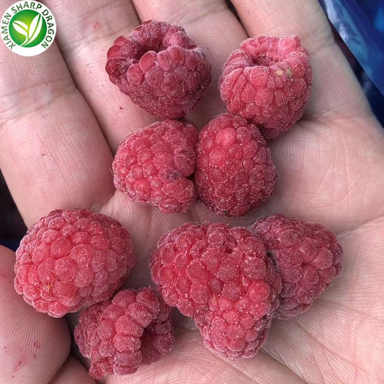 frozen raspberries in bulk
