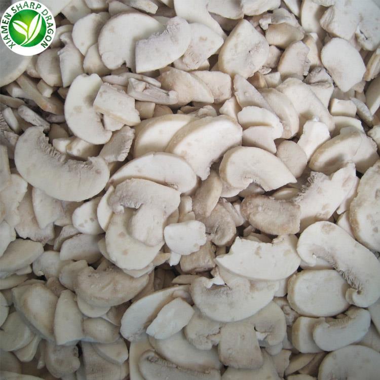 wholesale champignon mushroom 