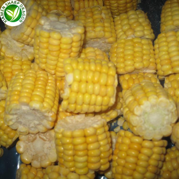 freeze corn on the cob raw