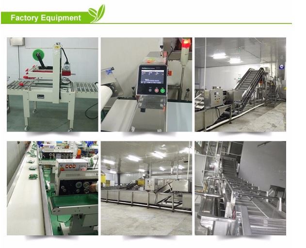 frozen Mango low carb recipes frozen Mango low carb recipes