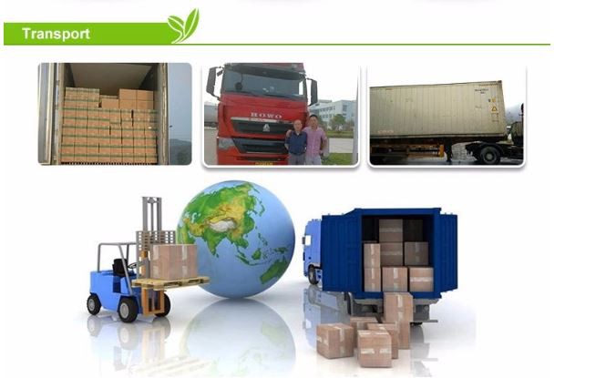 frozen Mango gluten free recipes frozen Mango gluten free recipes