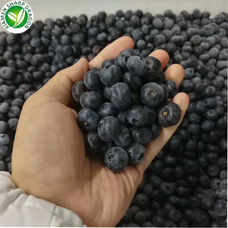 frozen blueberries in bulk frozen blueberries in bulk