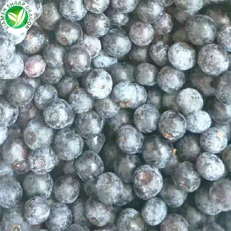 blueberry on sale blueberry on sale