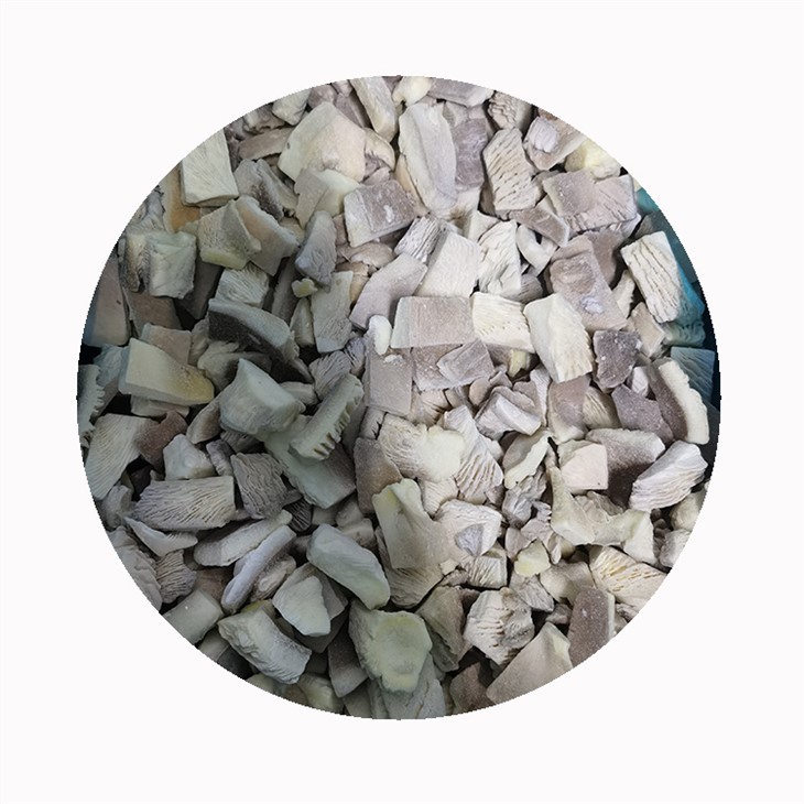 Frosinn ostrusveppa teningur