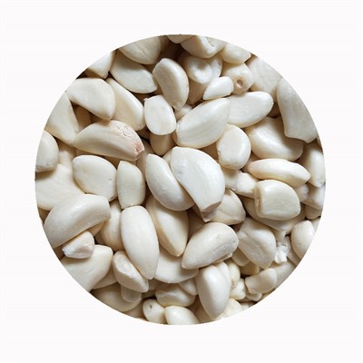 Frosin hvítlauksrif