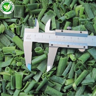 Frosinn grænn vorlaukur