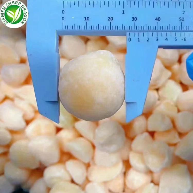 IQF Frozen Cantaloupe Balls Supplier IQF frozen cantaloupe balls supplier for beverage dessert and foodservice buyers