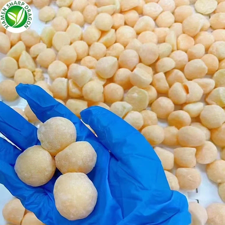 Frozen Cantaloupe Balls for Beverage Frozen cantaloupe balls for smoothie beverage and dessert applications