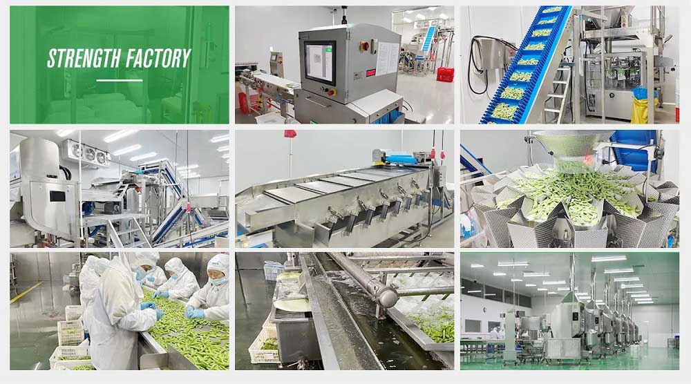 Frozen Cantaloupe Factory Supply XMSDfood frozen cantaloupe factory and export supply reference