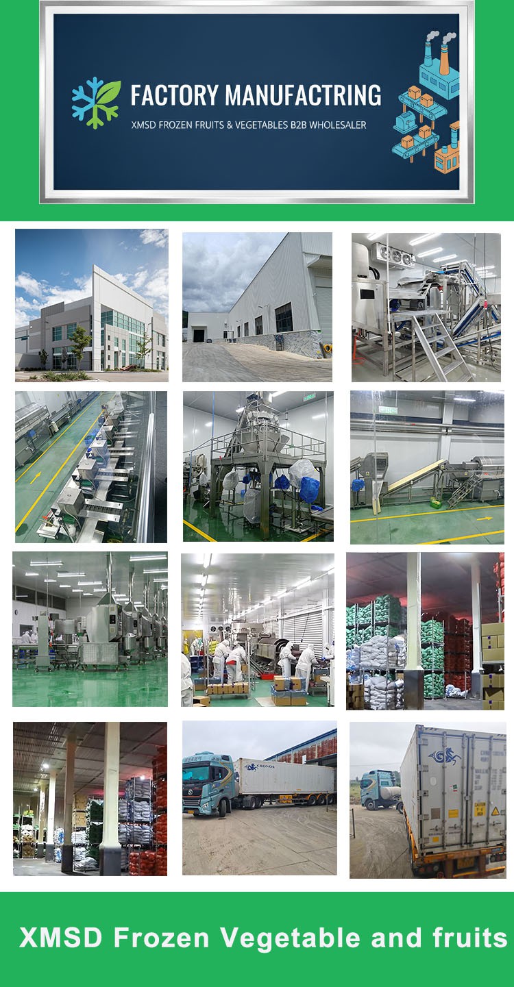 XMSD FACTORY XMSD FACTORY