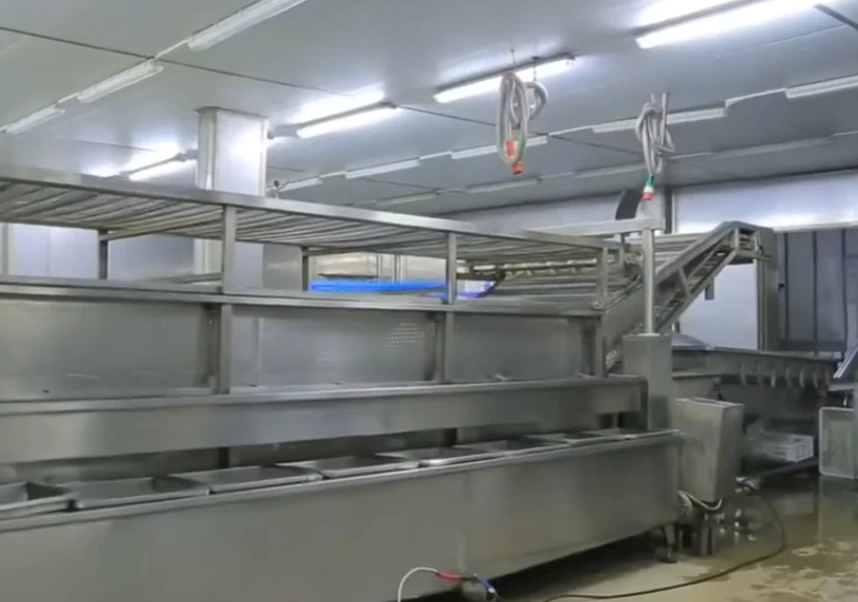 XMSD IQF frozen strawberry factory workshop XMSD IQF frozen strawberry factory workshop