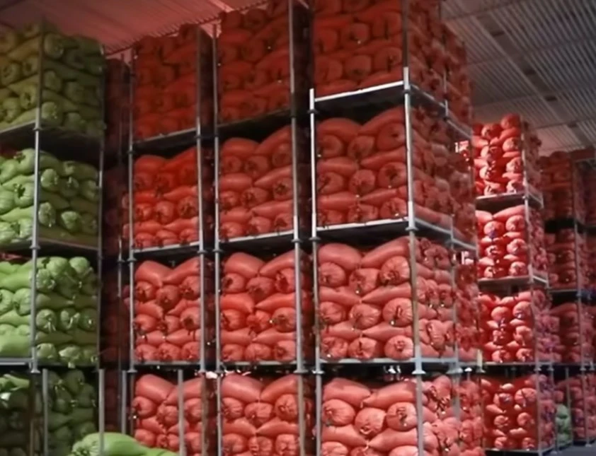XMSD container loading support for frozen dragon fruit export XMSD container loading support for frozen dragon fruit export