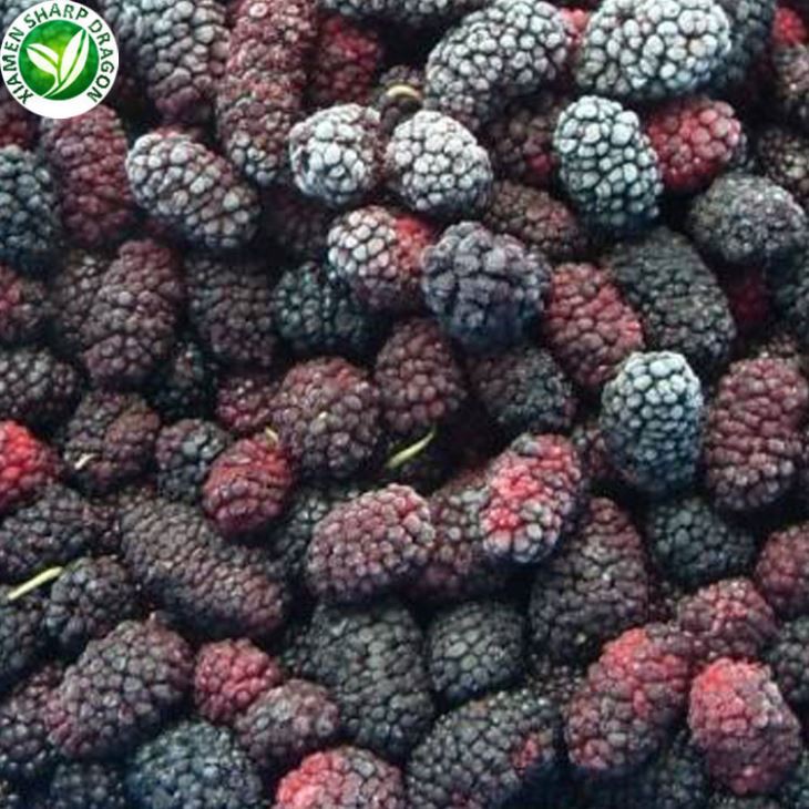 IQF Frozen Mulberry