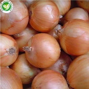 Fersk lífræn gulur laukur