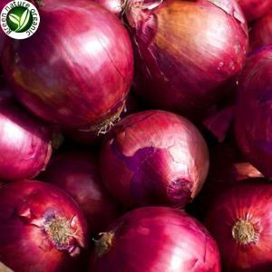 Ferskt rauðlaukaljós