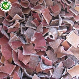 Frosinn svartur sveppateningur