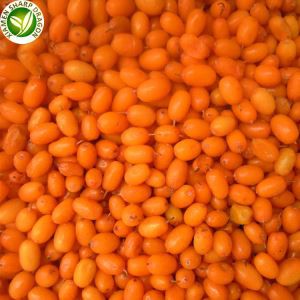 Frosin sjó Buckthorn ber