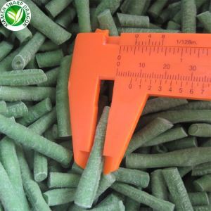 Frosinn Yard Long Bean