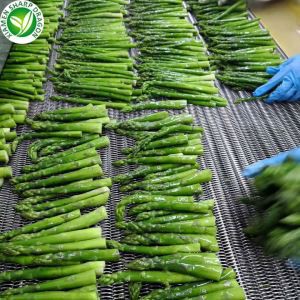IQF Frosinn Grænn Asparagus