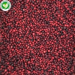 IQF Frozen Lingonberry