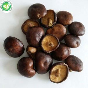 Vacuum Fried Mushroom Chips