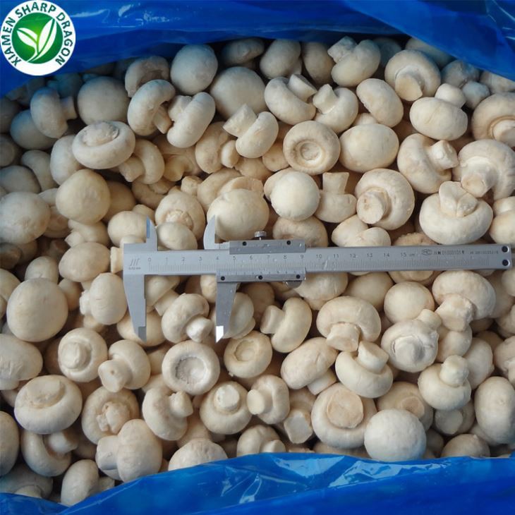 Champignon sveppir næring