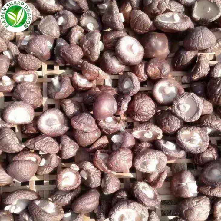 Þurrkaður Shiitake sveppakaup