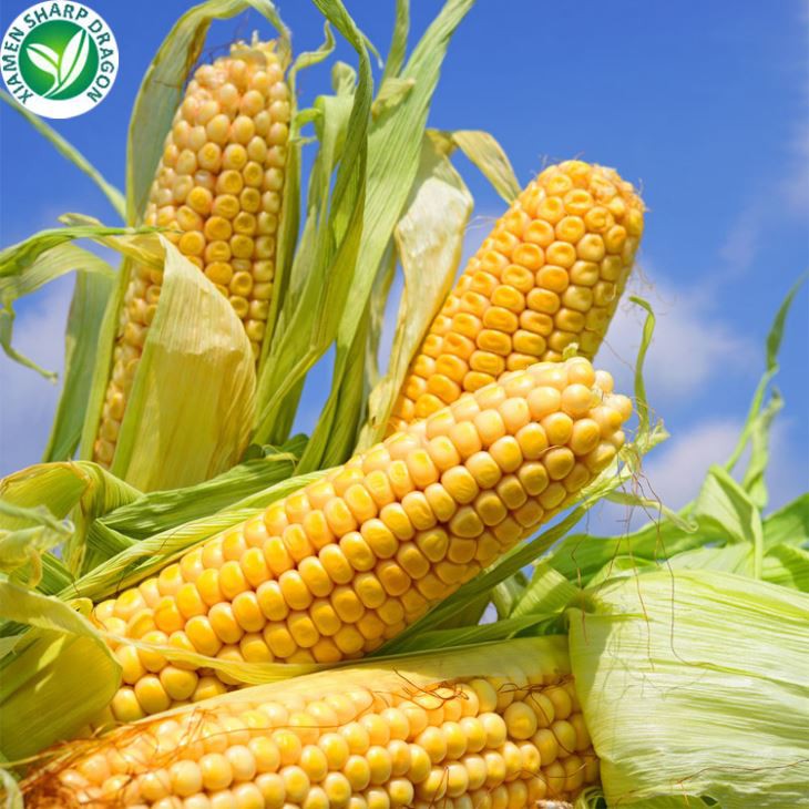 Birgjar frosinn maís