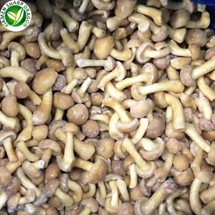 Forest Nameko sveppir