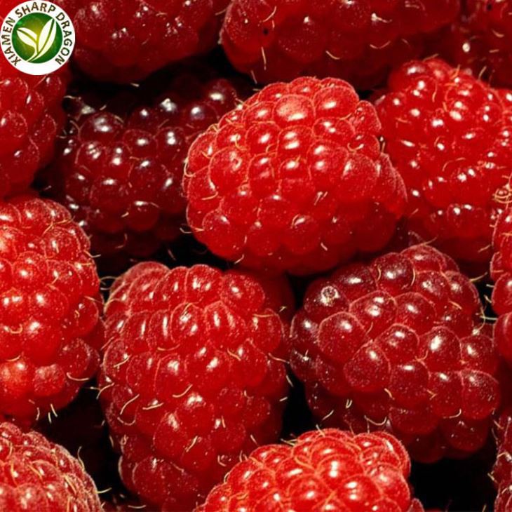 Frosið hindberja heildsölu