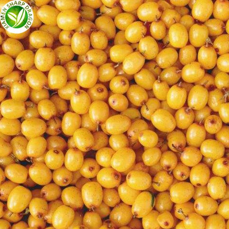 Frosinn gulur sjó Buckthorn