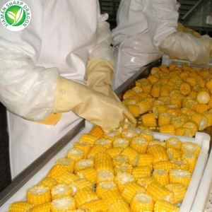 Besti frosinn maískolinn