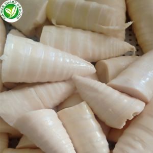 Niðursoðinn bambusskot til sölu