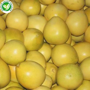 Fresh Honey Pomelo