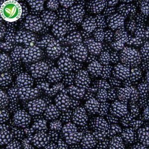 Frosin brómber í lausu