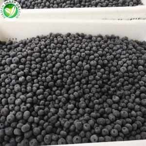 Frosinn bláberjakostnaður