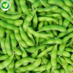 Frozen Edamame Bean Suppliers