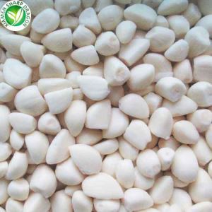 Frosinn hvítlaukur Heildsöluverð