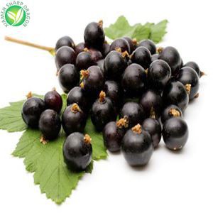 Frosinn lífrænir blackcurrants