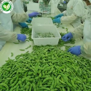 Grænar Edamame baunir