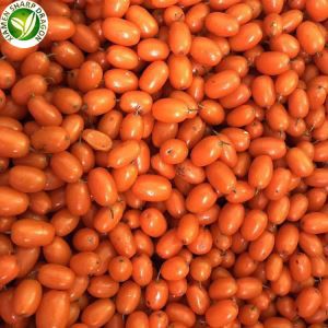 Iqf Sea Buckthorn Berry Frozen