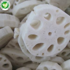Lotus Root Birgjar