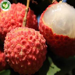 Lychee ávaxtapöntun á netinu