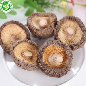 Verð á þurrkuðum Shiitake sveppum