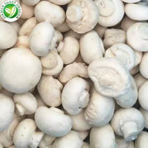 Hvítir sveppir Kostnaður